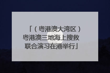 （粤港澳大湾区）粤港澳三地海上搜救联合演习在港举行
